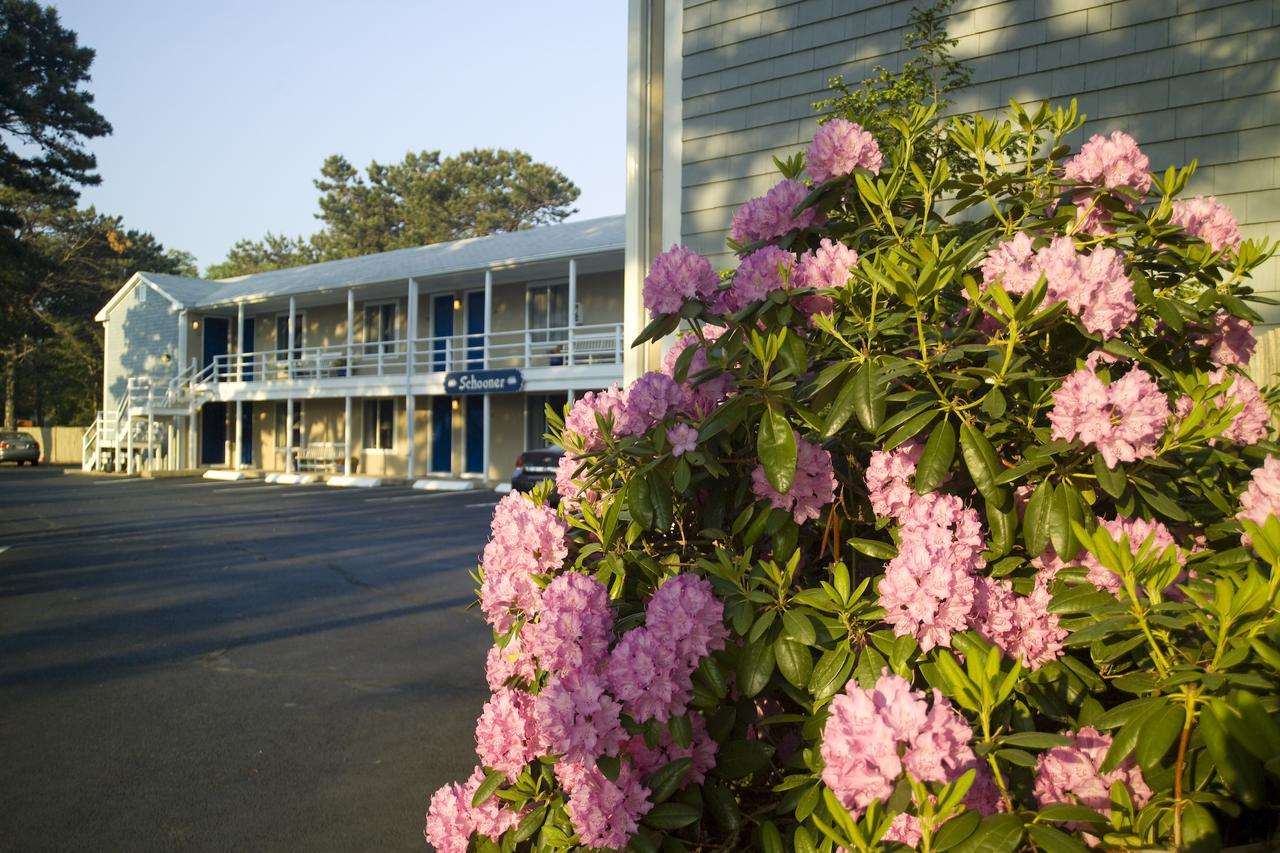 Southfleet Motor Inn Wellfleet Esterno foto